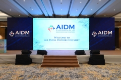 1.-AIDM-2025