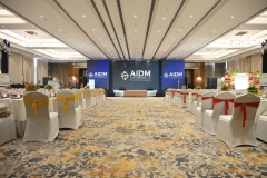 3.AIDM-2025