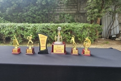 cricket-tournament-2026-3